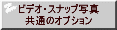 ビデオ・スナップ写真 共通のオプション 